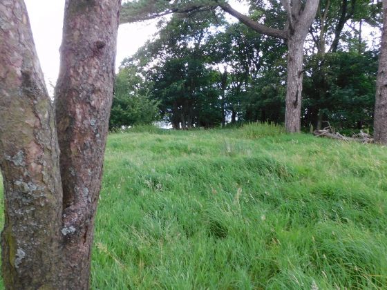 Glencreggan (Stone Fort / Dun)