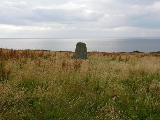 Barlea (Standing Stone / Menhir)