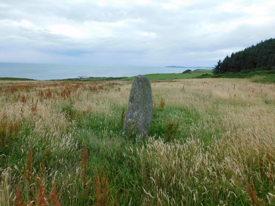 Barlea (Standing Stone / Menhir)