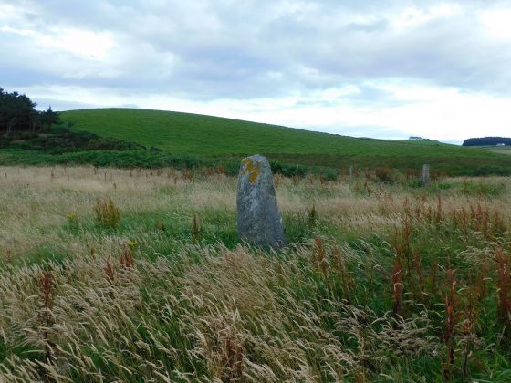 Barlea (Standing Stone / Menhir)