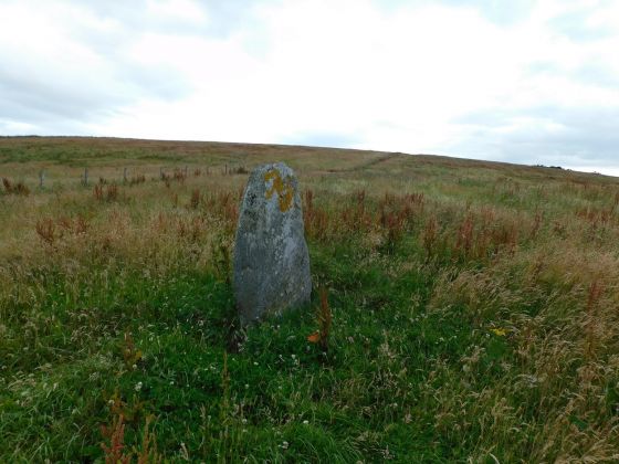 Barlea (Standing Stone / Menhir)