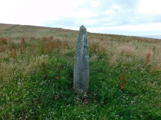 Barlea (Standing Stone / Menhir)