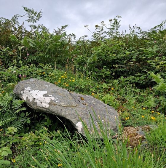 Ardminish (Cist)