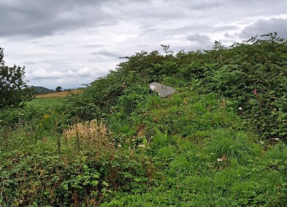 Ardminish (Cist)