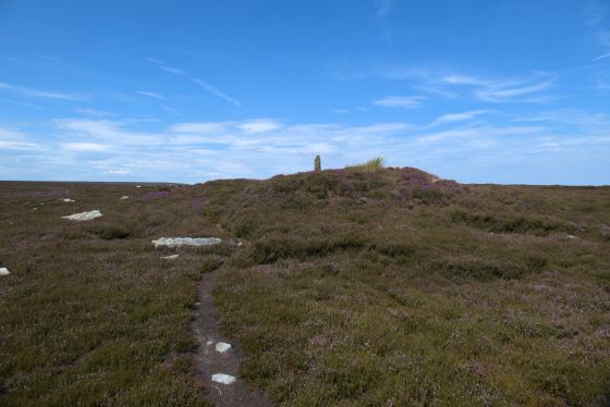 Hob on the Hill (Barrow / Cairn Cemetery)