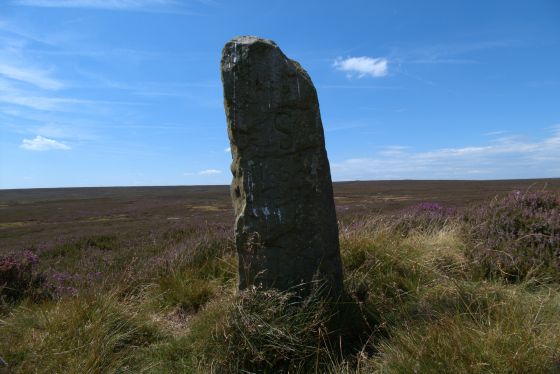 Hob on the Hill (Barrow / Cairn Cemetery)
