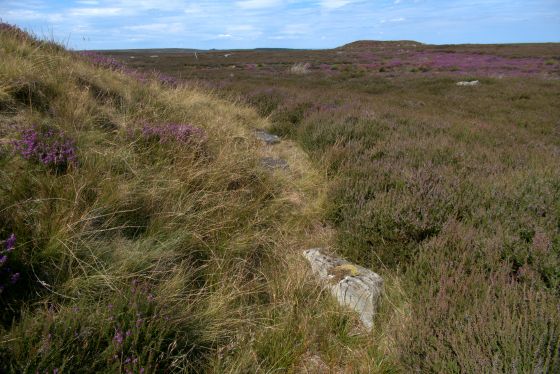 Hob on the Hill (Barrow / Cairn Cemetery)