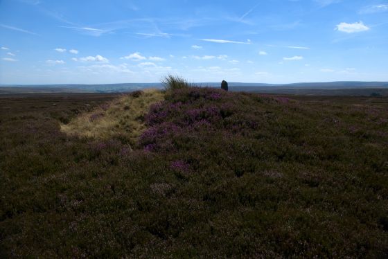 Hob on the Hill (Barrow / Cairn Cemetery)
