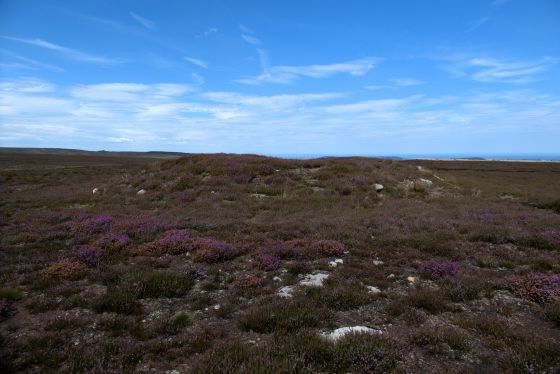 Hob on the Hill (Barrow / Cairn Cemetery)