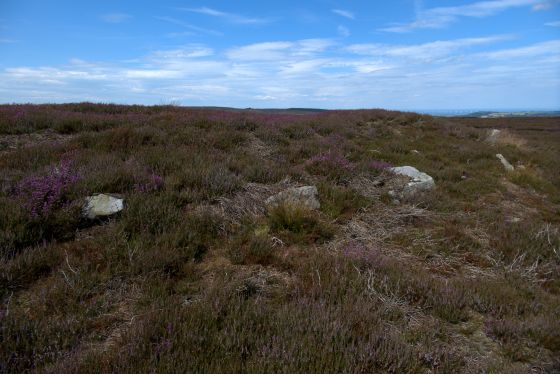 Hob on the Hill (Barrow / Cairn Cemetery)