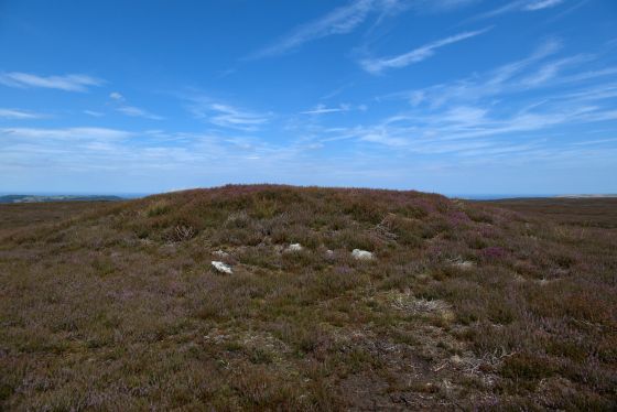 Hob on the Hill (Barrow / Cairn Cemetery)