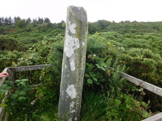 St. Cathan’s Church (Standing Stone / Menhir)