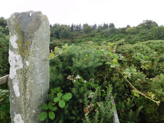 St. Cathan’s Church (Standing Stone / Menhir)