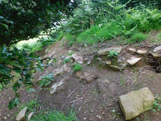 North Druimachro (Stone Fort / Dun)