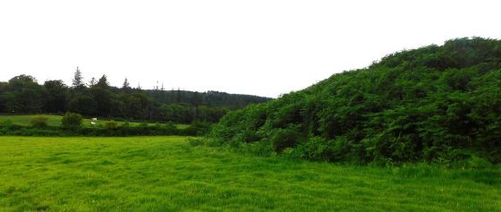 North Druimachro (Stone Fort / Dun)