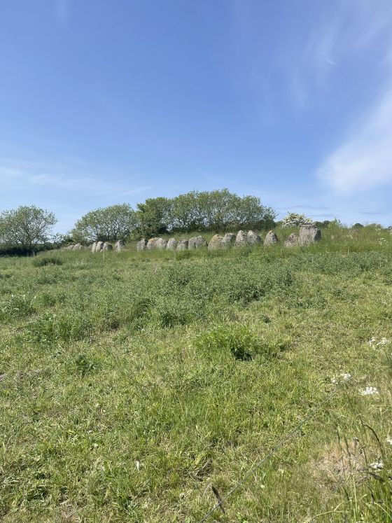 Hesselbjerg (Langdysse)