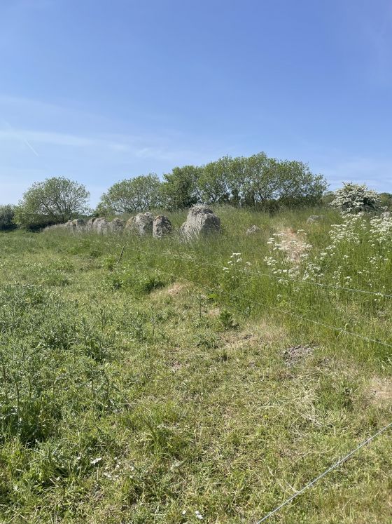 Hesselbjerg (Langdysse)