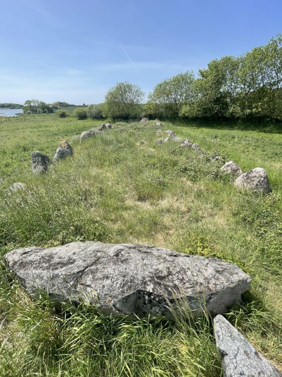 Hesselbjerg (Langdysse)