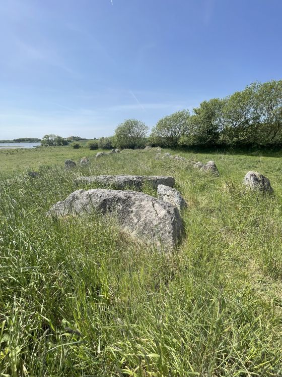 Hesselbjerg (Langdysse)