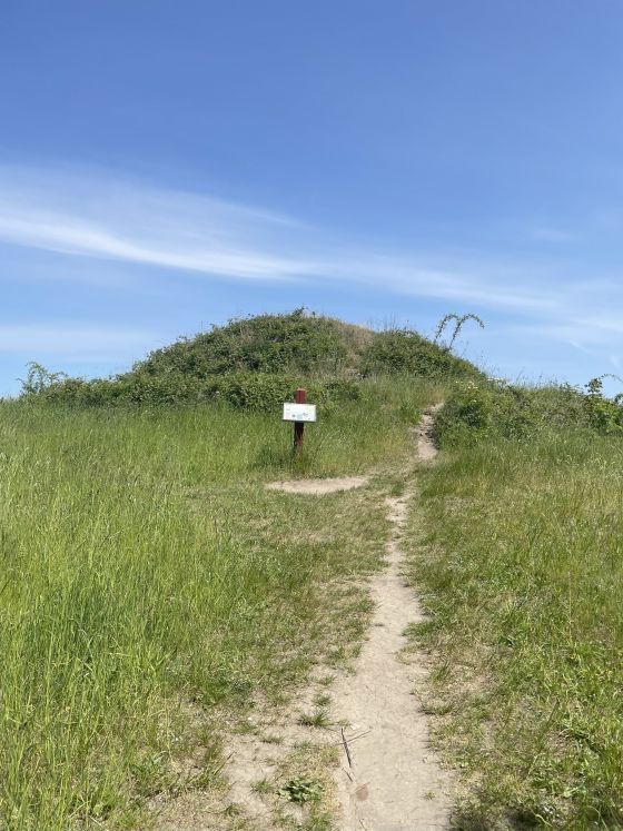 Hulbjerg-jættestuen