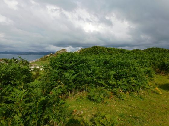Gallochoille Cottage (Stone Fort / Dun)