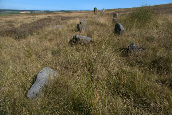 Low Bridestones (Stone Row / Alignment)