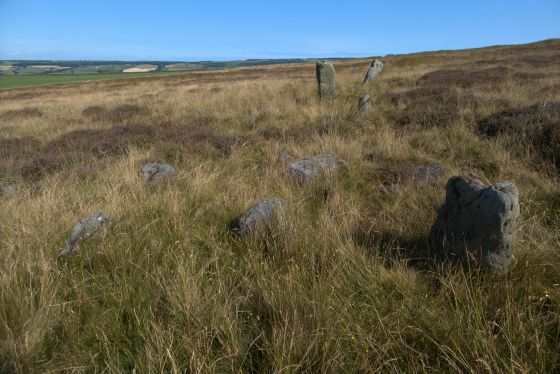 Low Bridestones (Stone Row / Alignment)