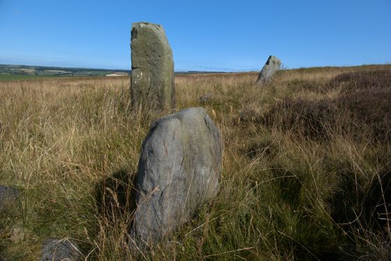 Low Bridestones (Stone Row / Alignment)