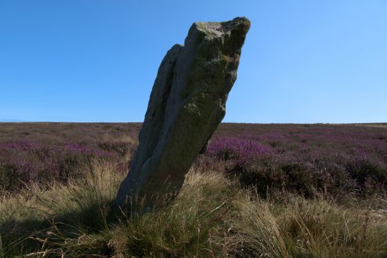 High Bridestones (Stone Circle)