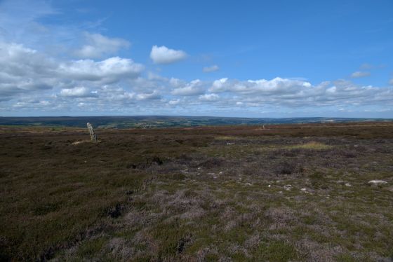 High Bridestones (Stone Circle)