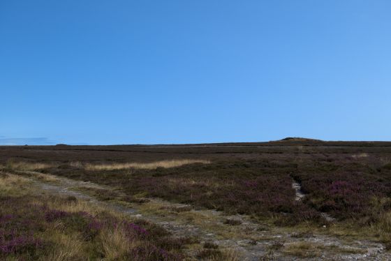 Flat Howes (Barrow / Cairn Cemetery)