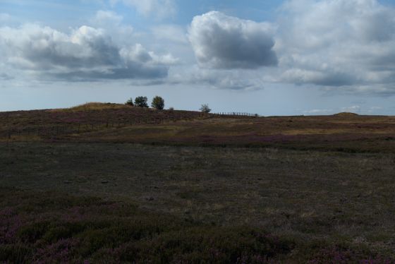 Pen Howe (Round Barrow(s))
