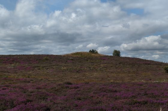 Pen Howe (Round Barrow(s))