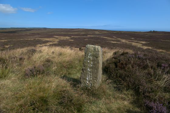 Breckon Howe (Round Barrow(s))