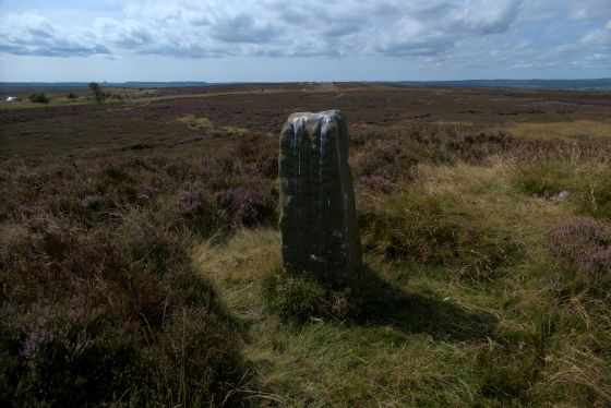Breckon Howe (Round Barrow(s))