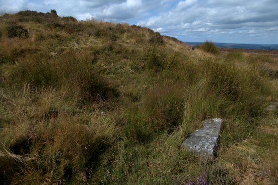Breckon Howe (Round Barrow(s))