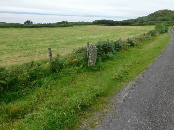 Cnoc Nan Gobhar (Standing Stone / Menhir)