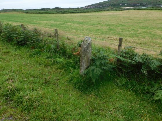 Cnoc Nan Gobhar (Standing Stone / Menhir)
