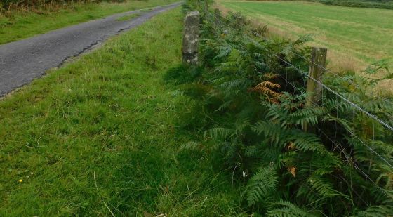 Cnoc Nan Gobhar (Standing Stone / Menhir)