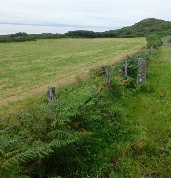Cnoc Nan Gobhar (Standing Stone / Menhir)