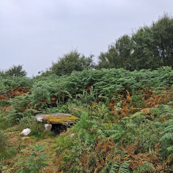 Carn Ban (Cairn(s))