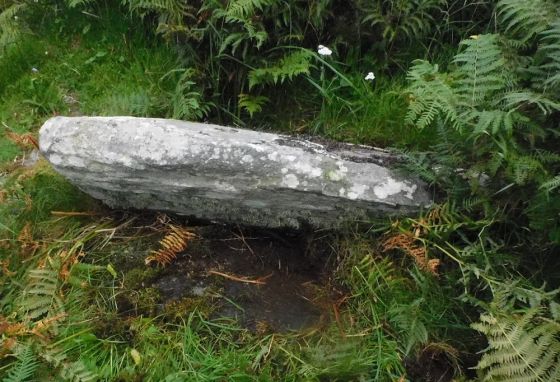 Kinerarach Cist