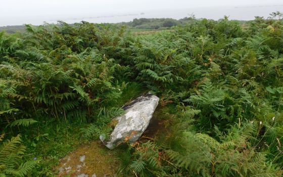 Kinerarach Cist