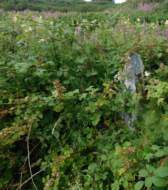 The Chair (Standing Stone / Menhir)