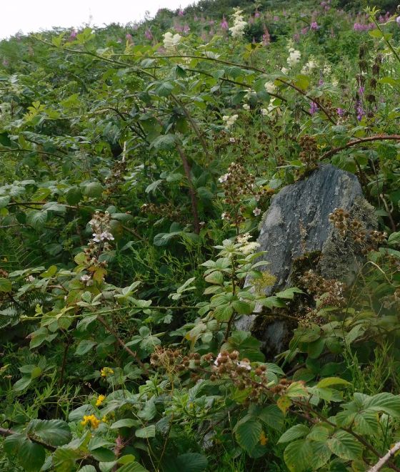 The Chair (Standing Stone / Menhir)