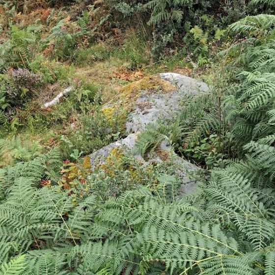 Carn Ban (Cairn(s))