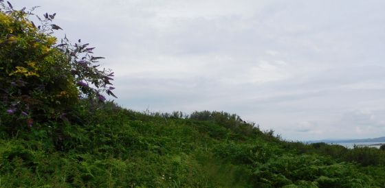 Achamhinish (Stone Fort / Dun)