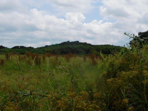 Achamhinish (Stone Fort / Dun)