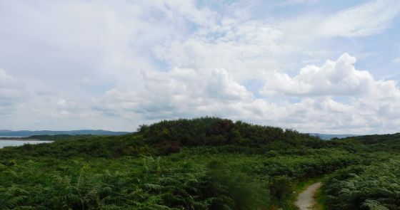 Dunan Buidhe