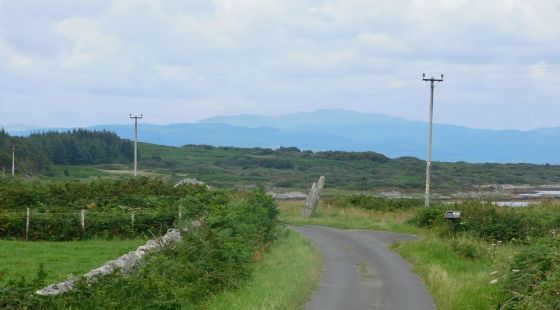 Carragh an Tarbert (Standing Stone / Menhir)